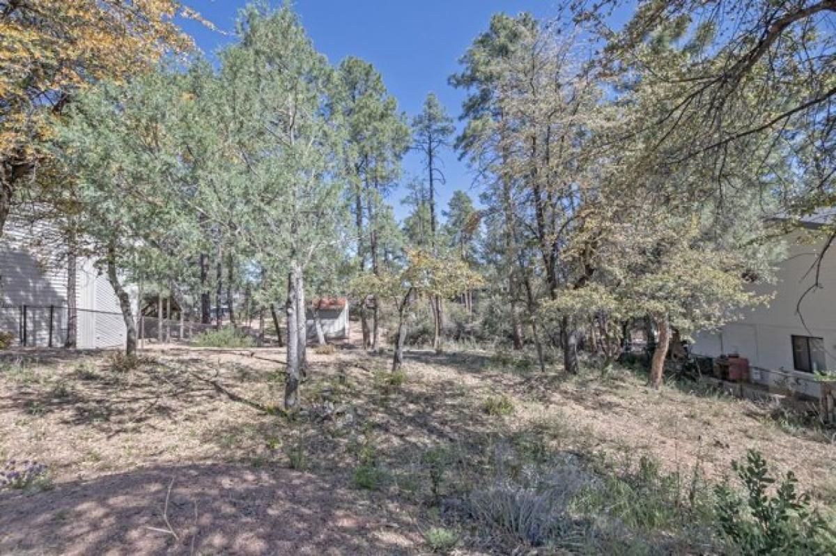 Picture of Residential Land For Sale in Payson, Arizona, United States