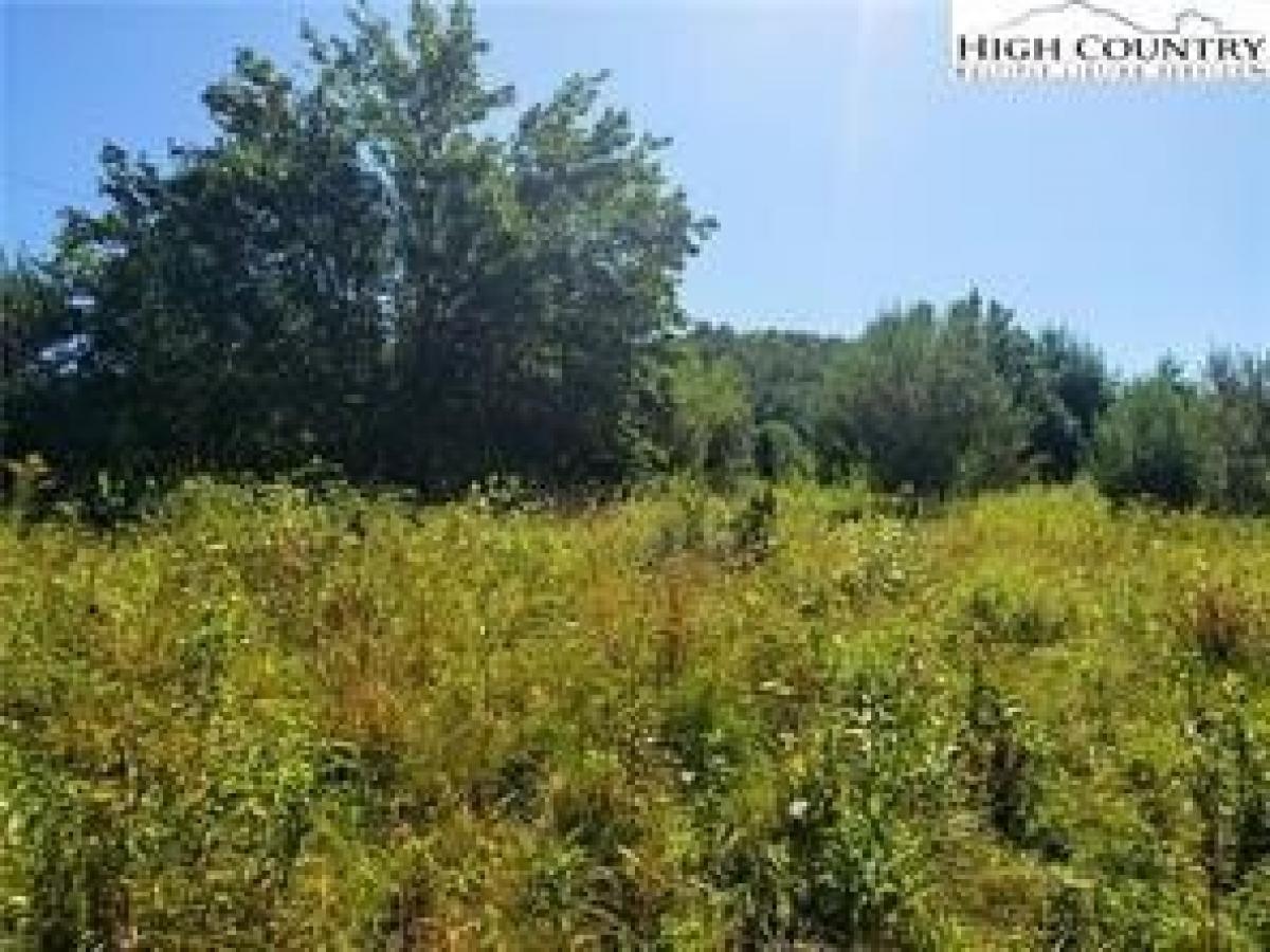 Picture of Residential Land For Sale in Piney Creek, North Carolina, United States