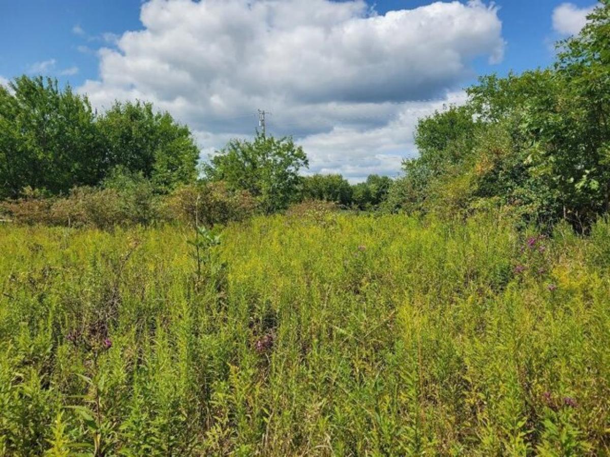 Picture of Residential Land For Rent in Galion, Ohio, United States