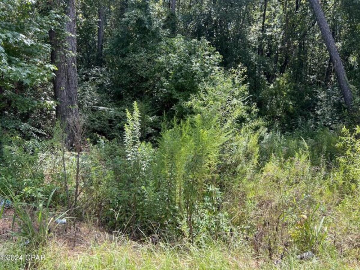 Picture of Residential Land For Sale in Chipley, Florida, United States