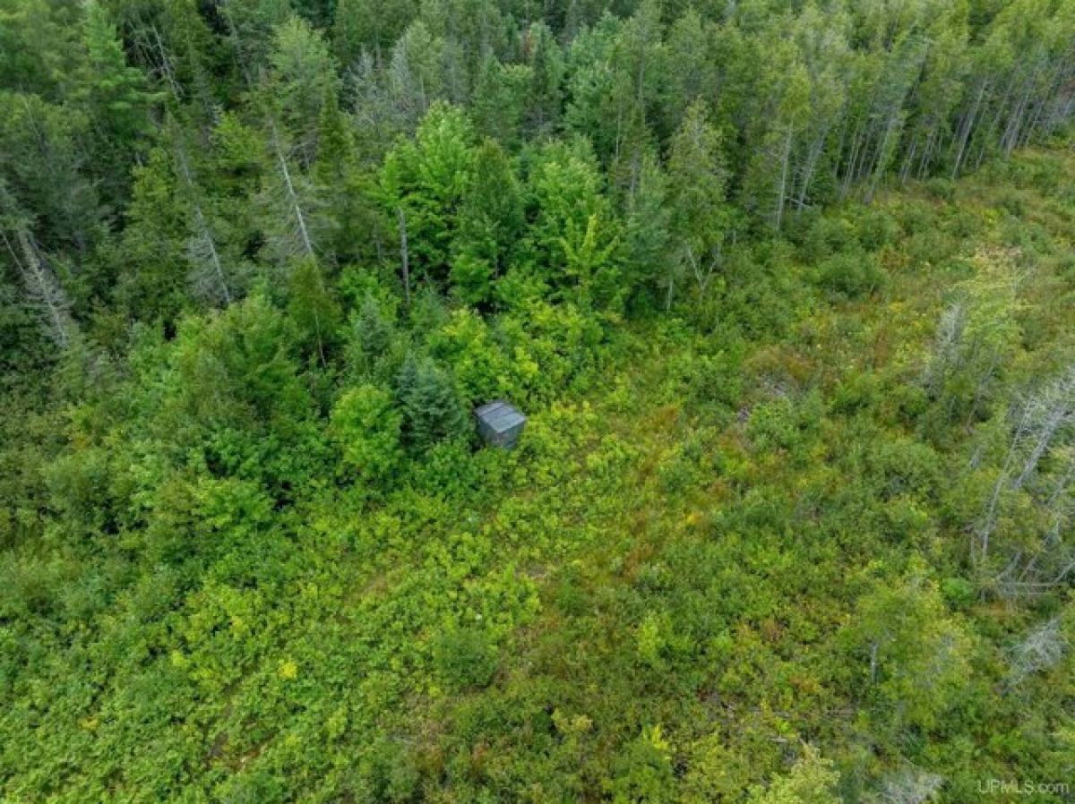 Picture of Home For Sale in Rock, Michigan, United States