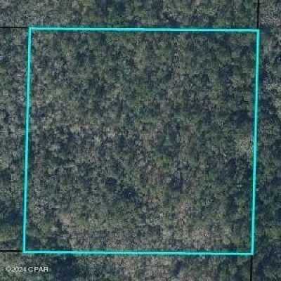 Residential Land For Sale in Westville, Florida