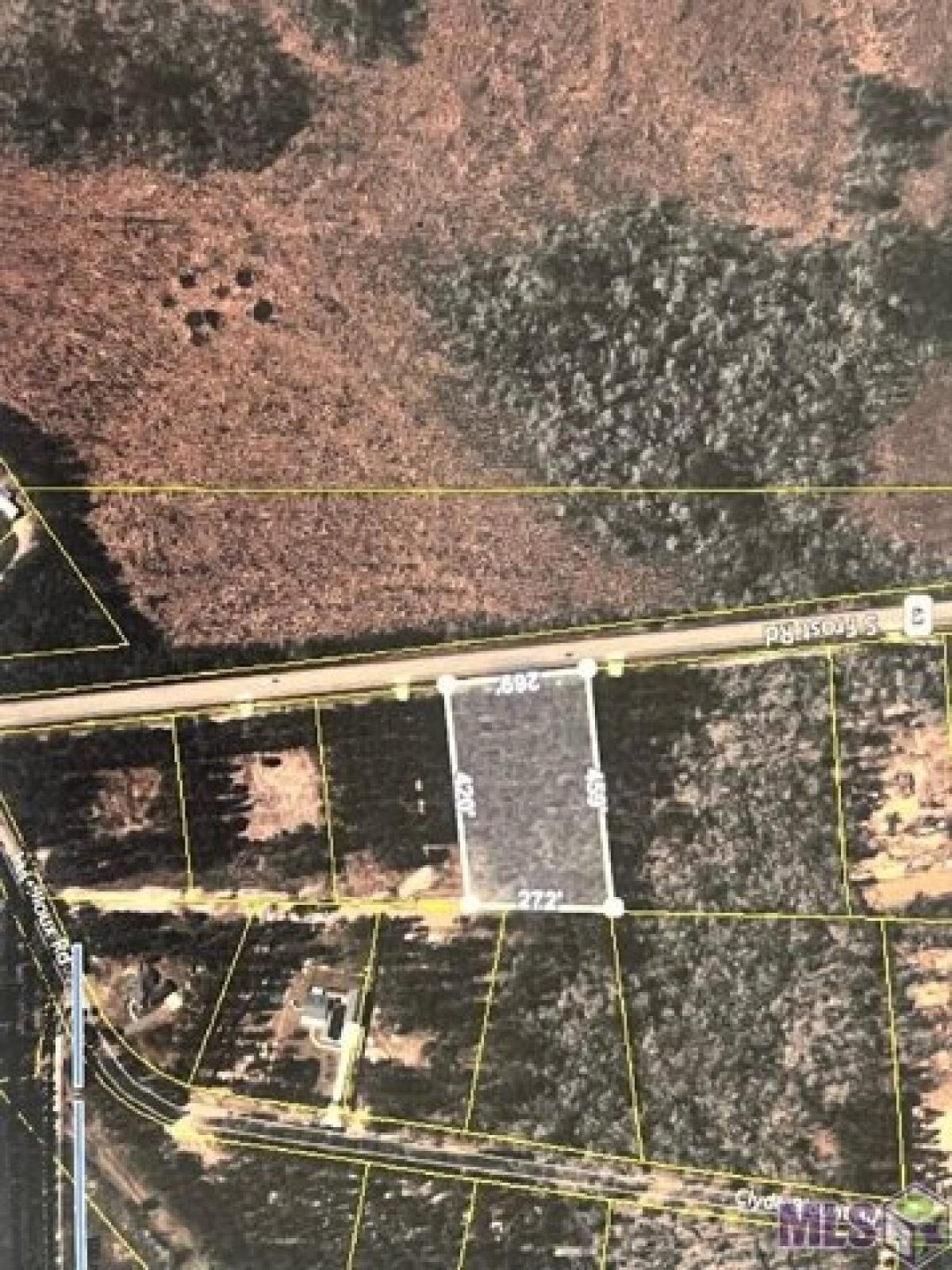 Picture of Residential Land For Sale in Livingston, Louisiana, United States