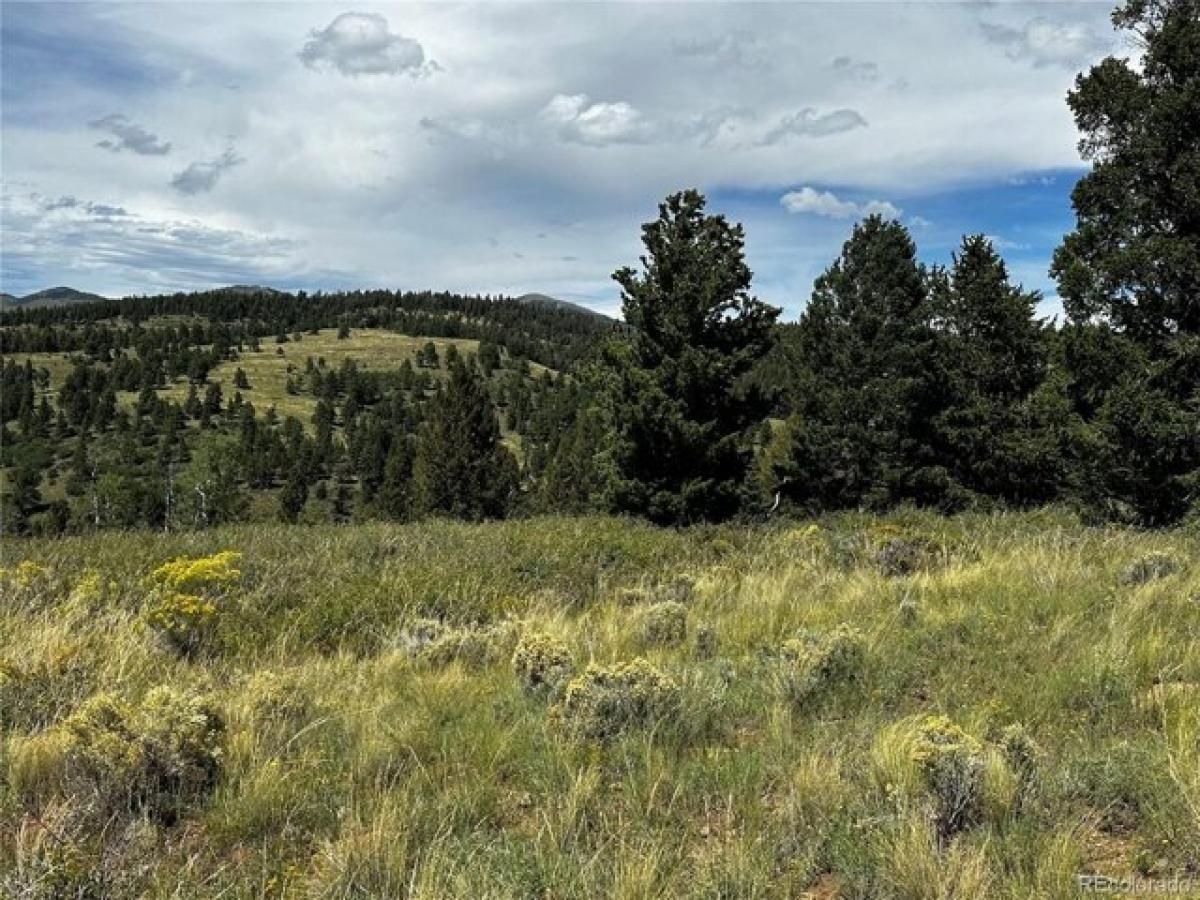 Picture of Residential Land For Sale in Fort Garland, Colorado, United States