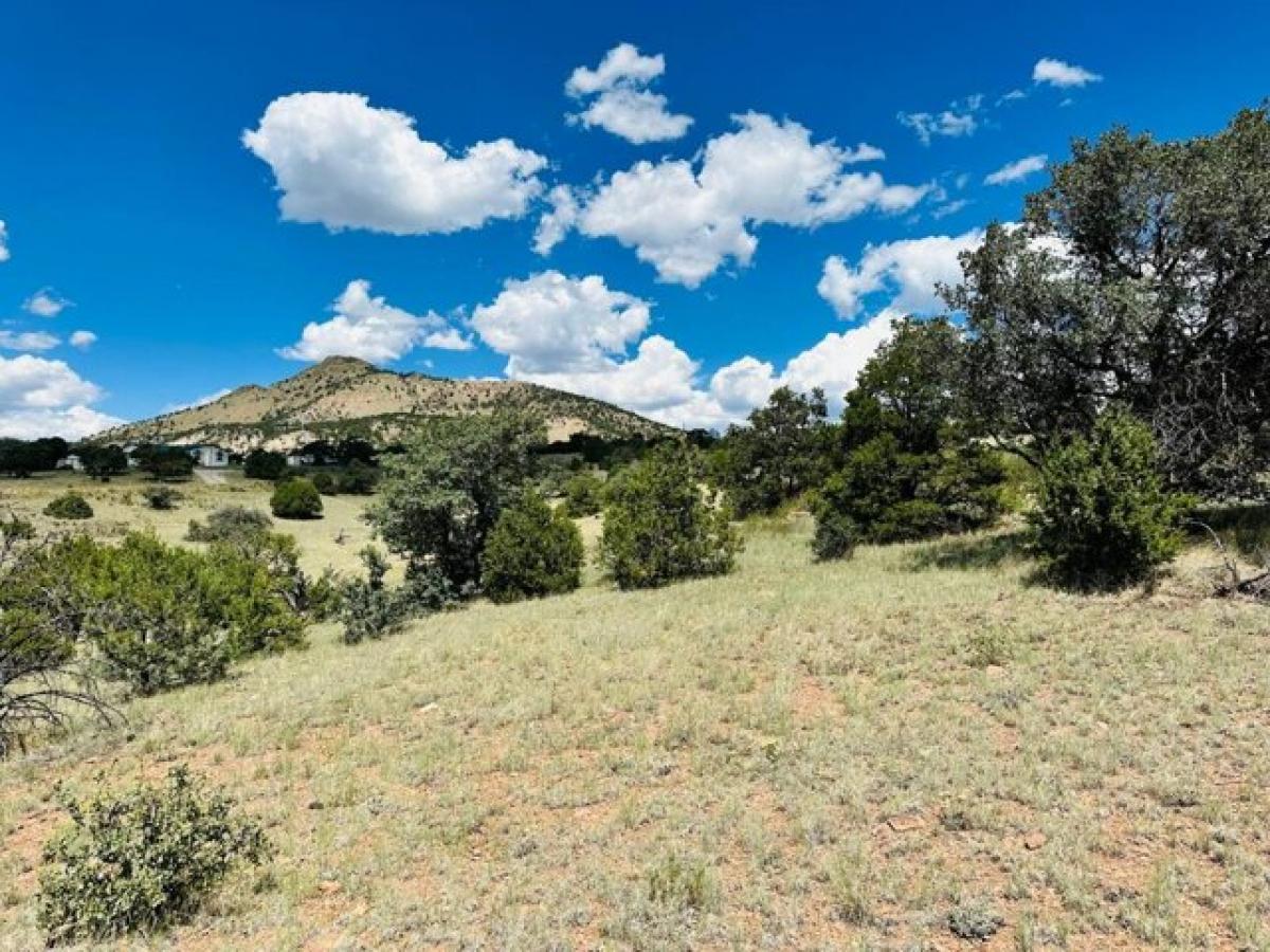 Picture of Residential Land For Sale in Datil, New Mexico, United States