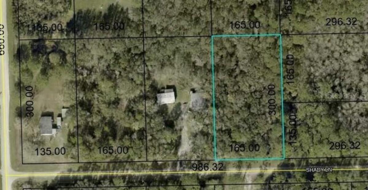 Picture of Residential Land For Sale in Bunnell, Florida, United States