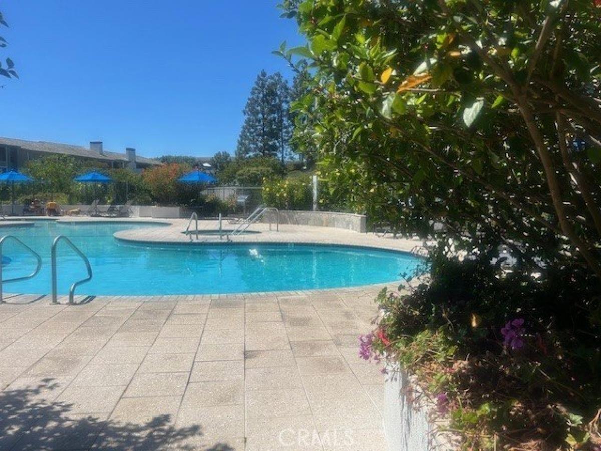 Picture of Home For Rent in Newport Beach, California, United States