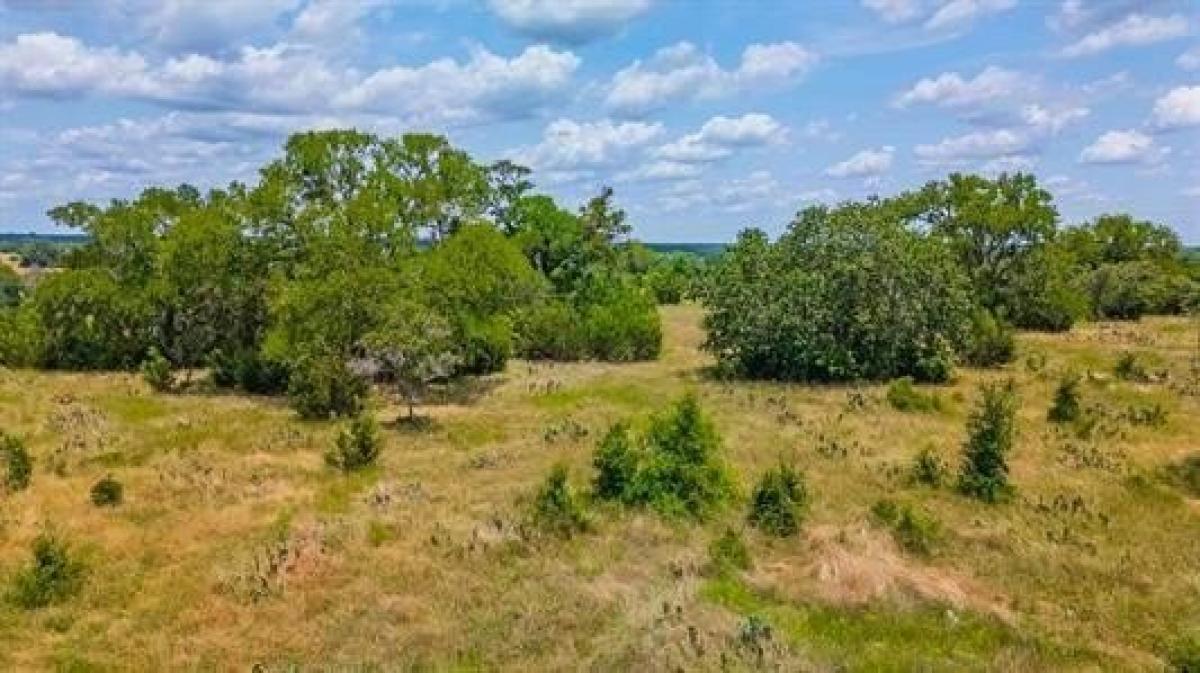 Picture of Residential Land For Sale in Bertram, Texas, United States