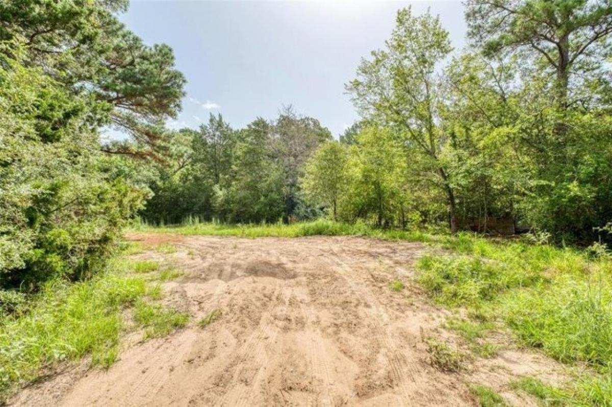 Picture of Residential Land For Sale in Bastrop, Texas, United States