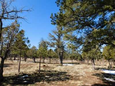 Residential Land For Sale in Happy Jack, Arizona