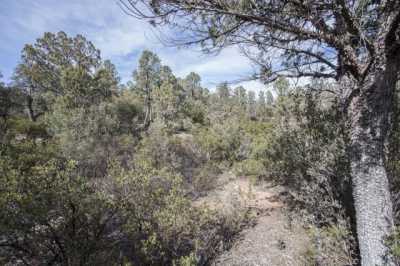 Residential Land For Sale in Payson, Arizona