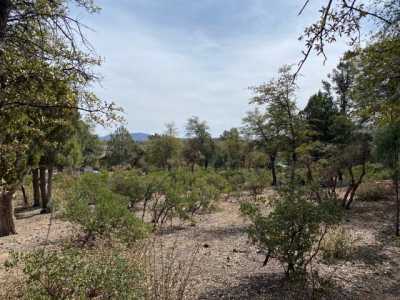 Residential Land For Sale in Payson, Arizona