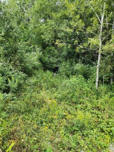 Residential Land For Sale in Antrim, New Hampshire