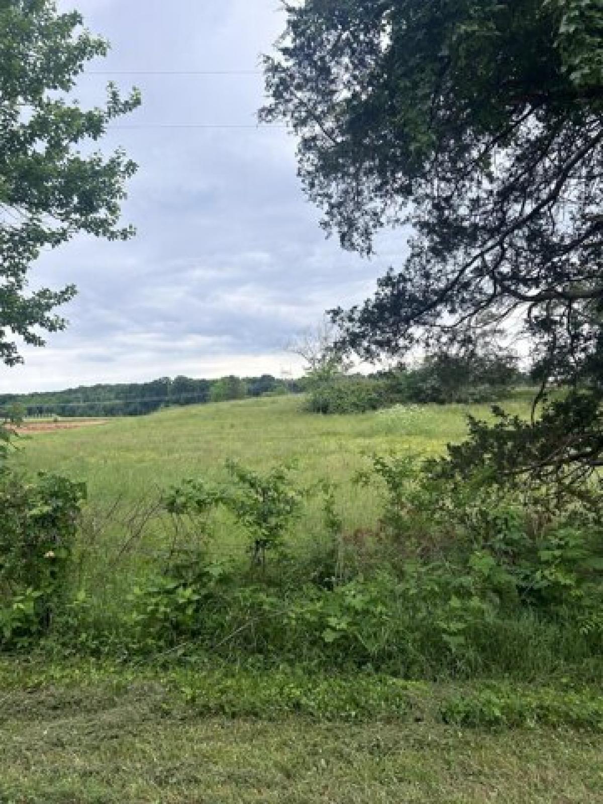 Picture of Residential Land For Sale in Shelbyville, Tennessee, United States