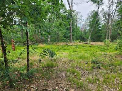 Residential Land For Sale in Baldwin, Michigan