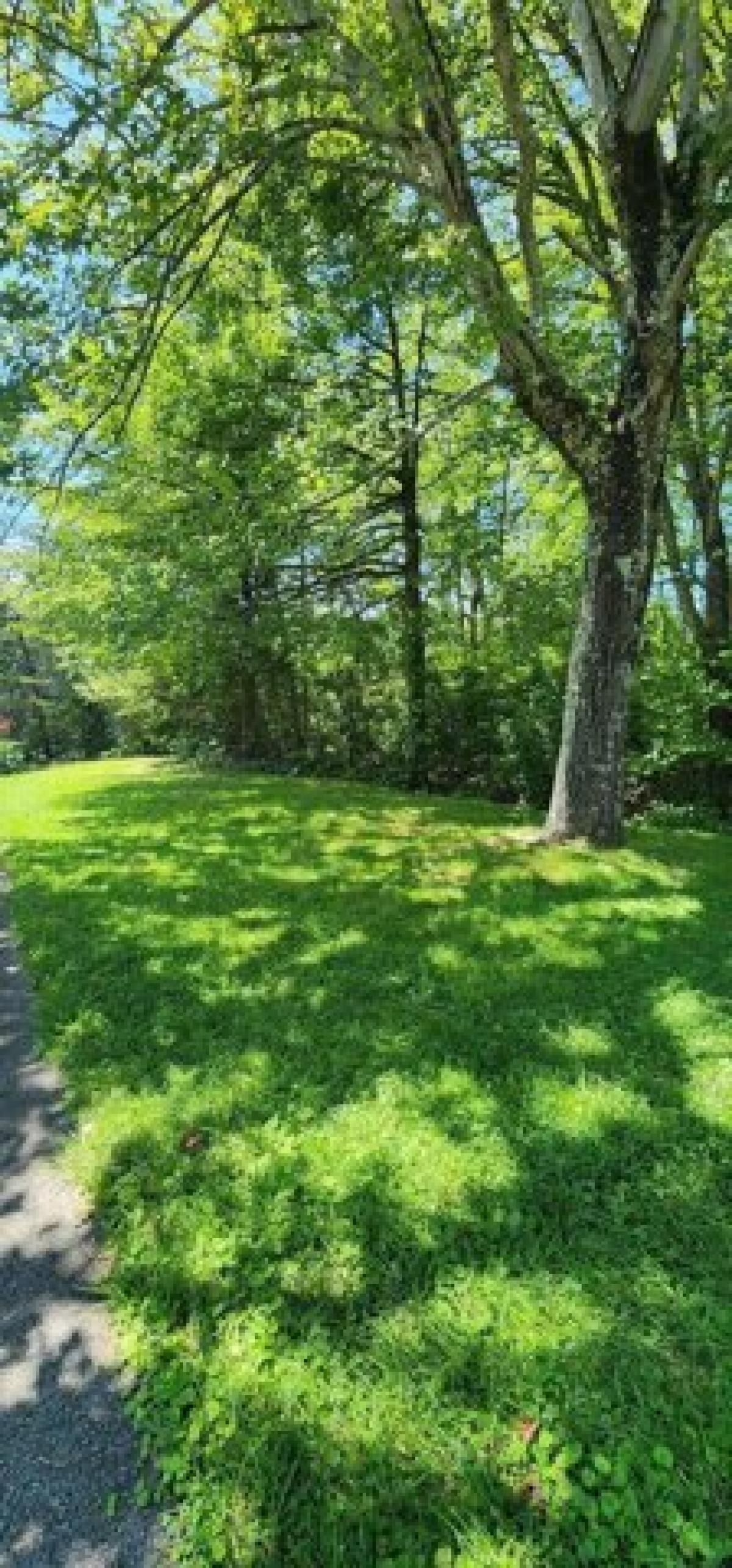 Picture of Residential Land For Sale in London, Kentucky, United States