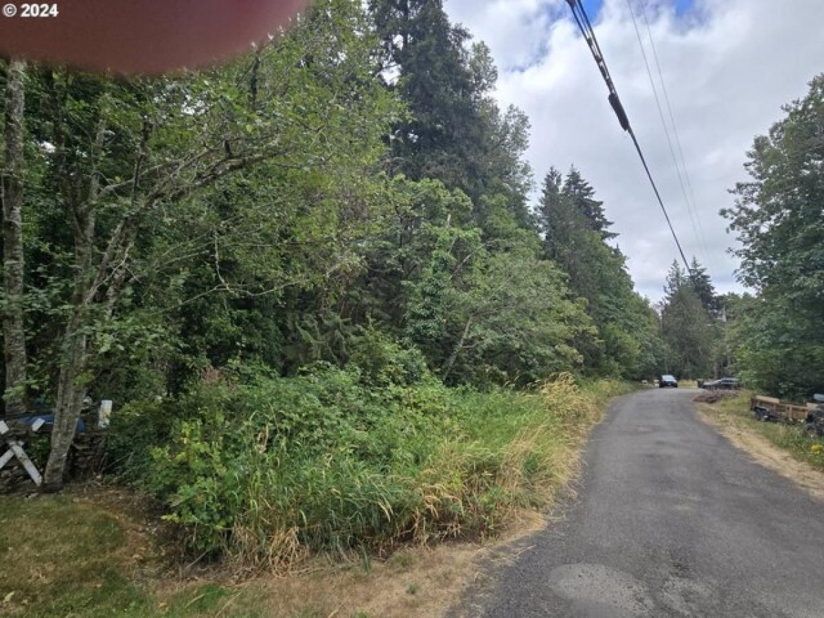 Picture of Residential Land For Sale in Rainier, Oregon, United States