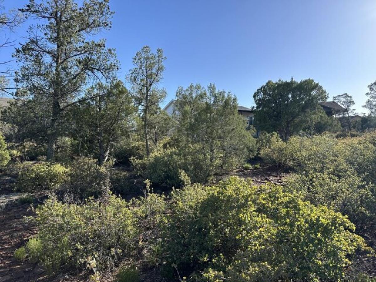 Picture of Residential Land For Sale in Payson, Arizona, United States