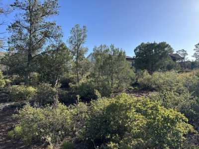 Residential Land For Sale in Payson, Arizona