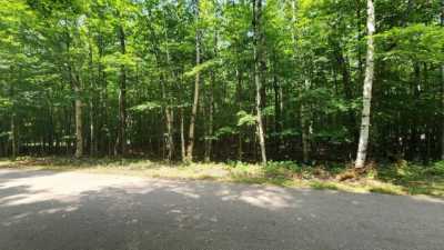 Residential Land For Sale in Three Lakes, Wisconsin