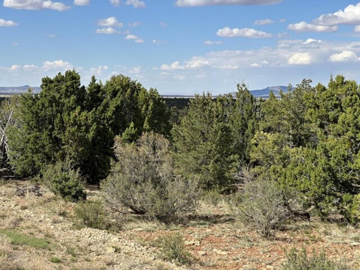 Picture of Residential Land For Sale in Happy Jack, Arizona, United States