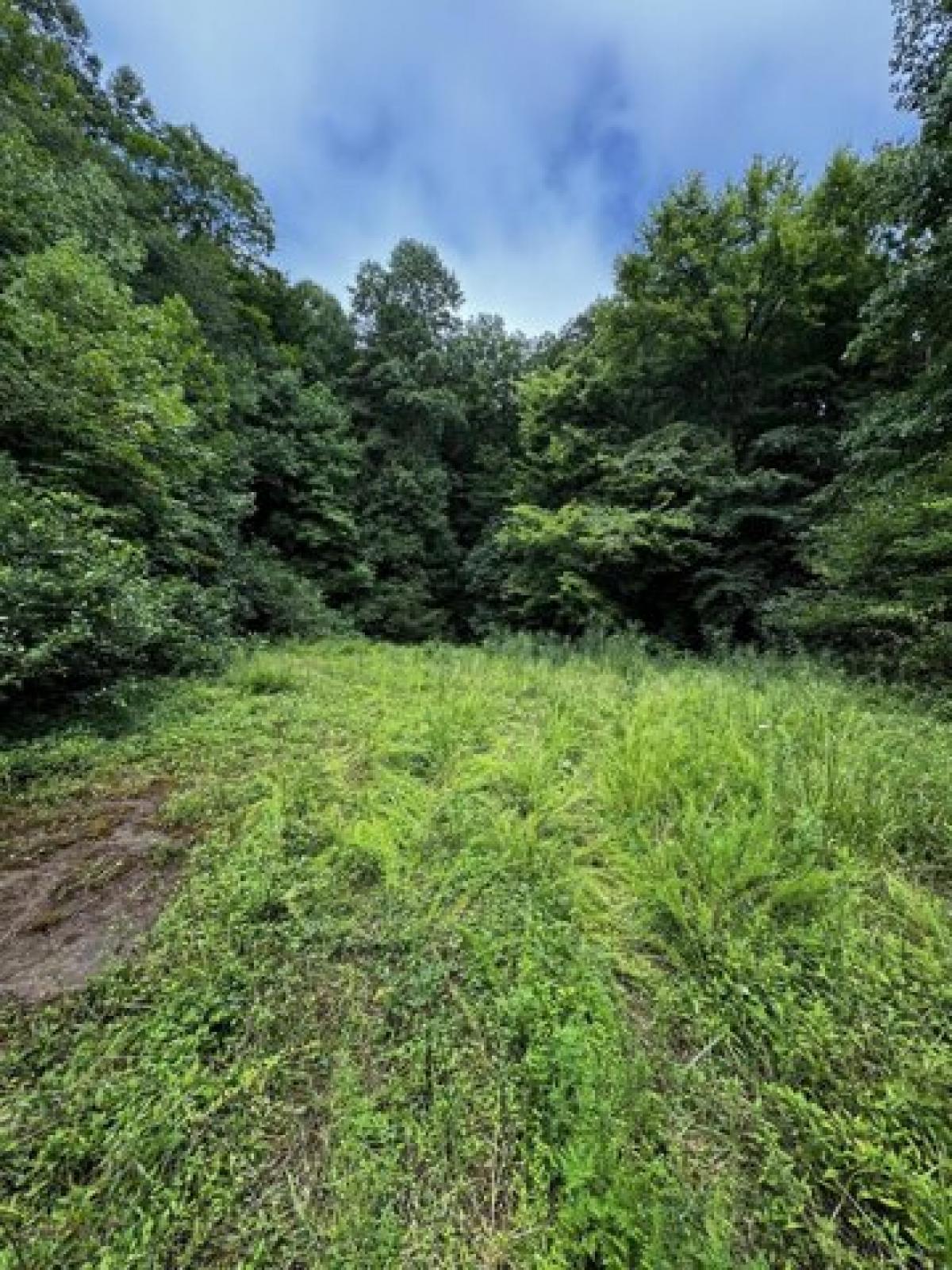 Picture of Residential Land For Sale in Campton, Kentucky, United States