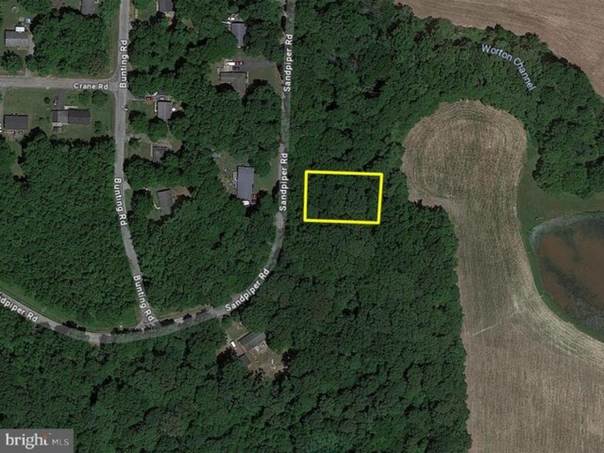 Picture of Residential Land For Sale in Chestertown, Maryland, United States