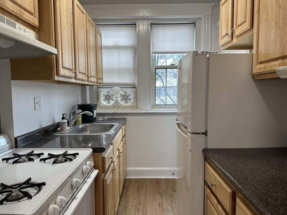 Picture of Apartment For Rent in Cambridge, Massachusetts, United States