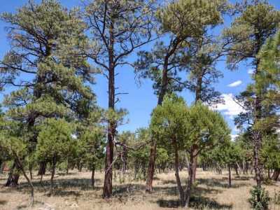 Residential Land For Sale in Happy Jack, Arizona