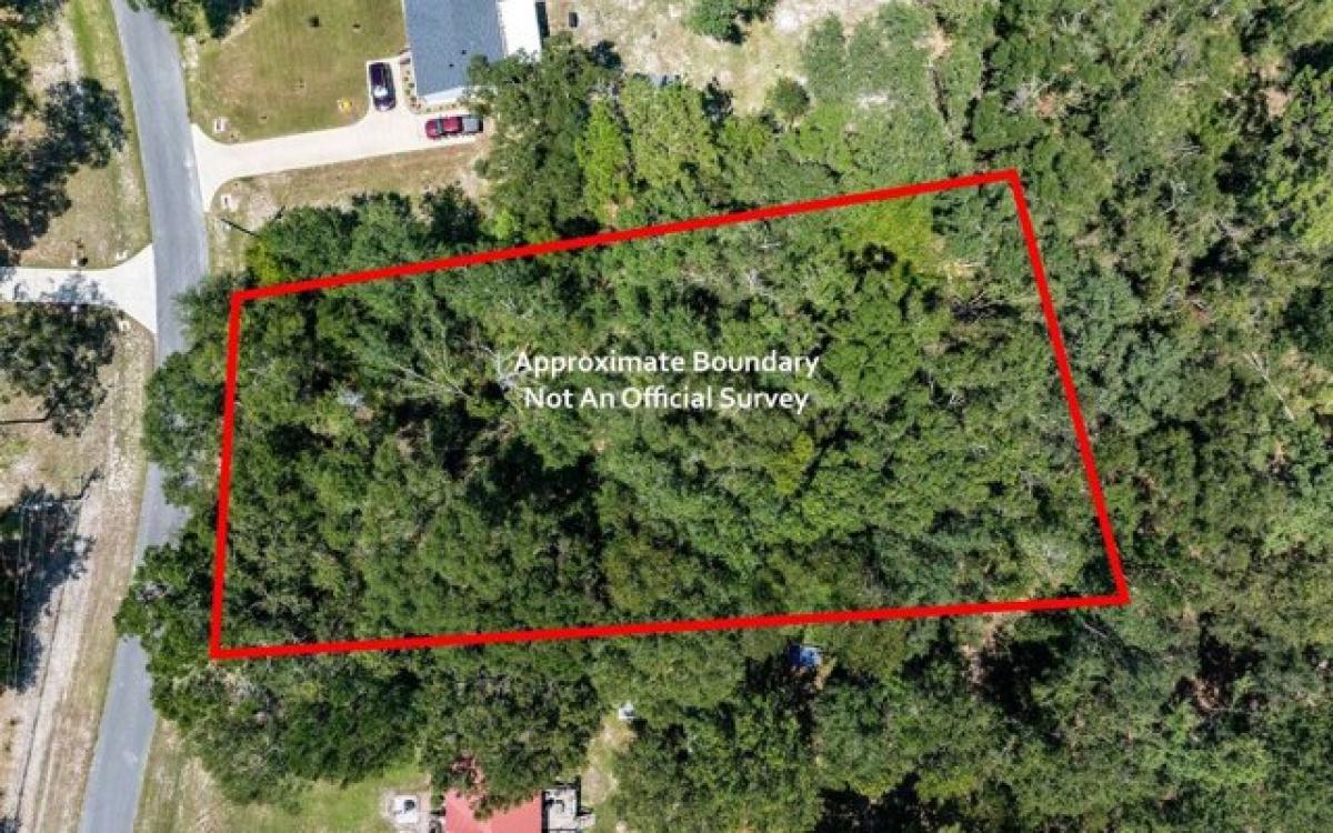 Picture of Residential Land For Sale in Live Oak, Florida, United States