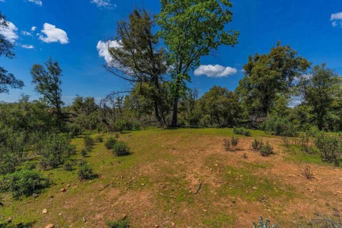 Picture of Residential Land For Sale in Mokelumne Hill, California, United States