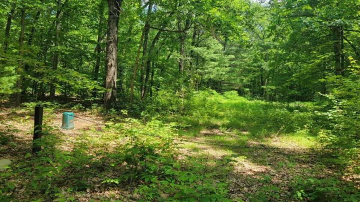 Picture of Residential Land For Sale in Pierson, Michigan, United States