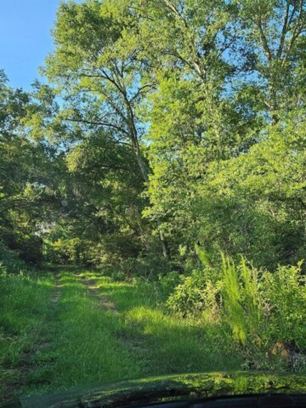 Picture of Residential Land For Sale in Hempstead, Texas, United States