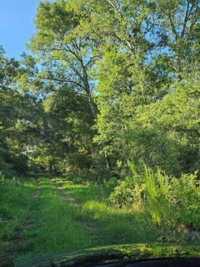 Residential Land For Sale in Hempstead, Texas