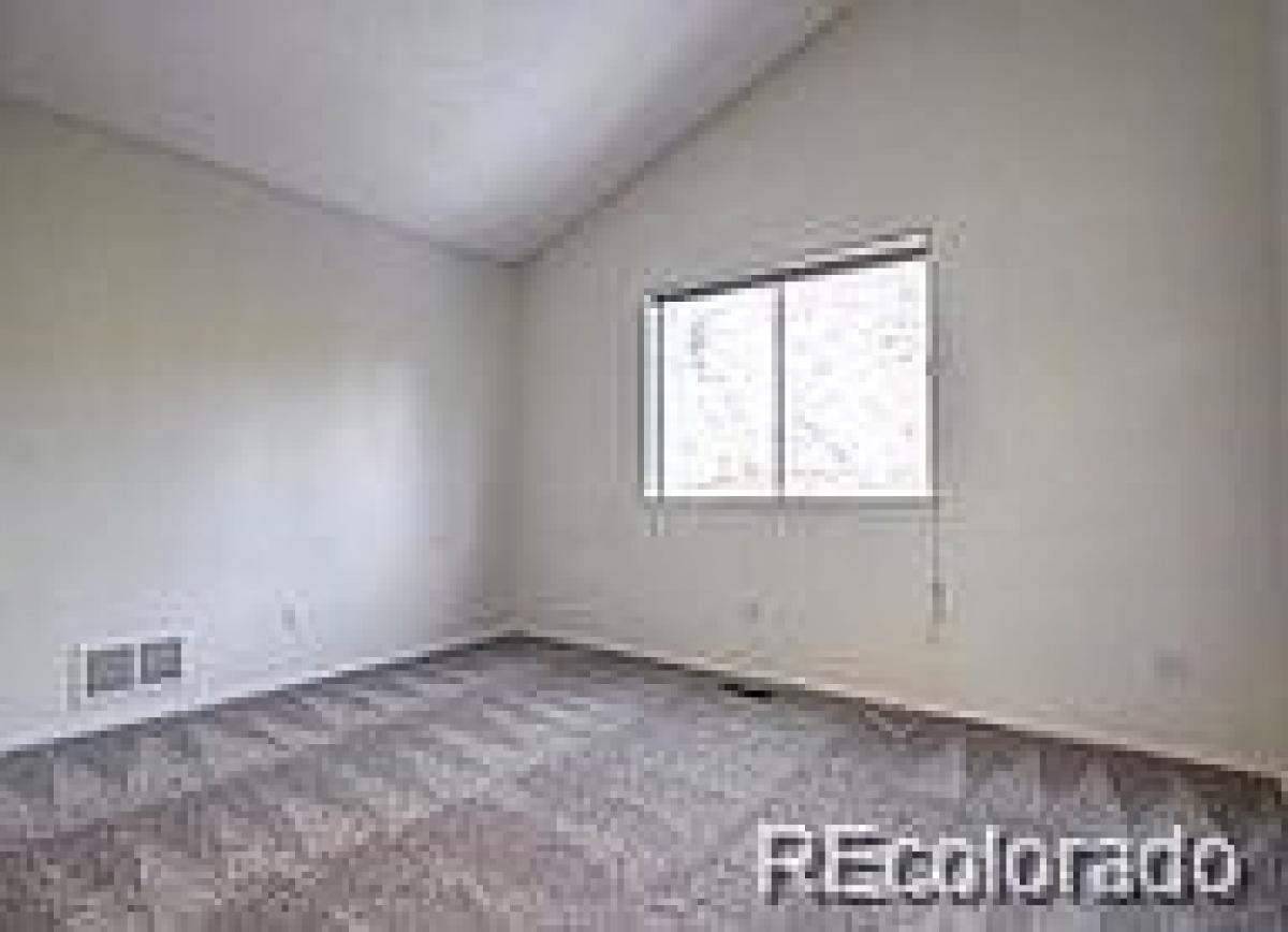 Picture of Home For Rent in Castle Rock, Colorado, United States