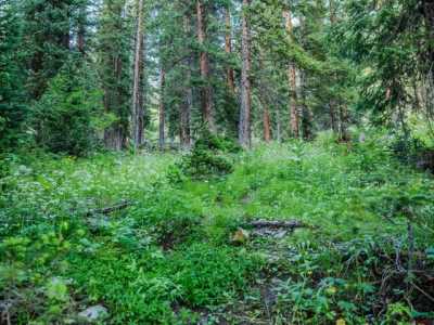 Home For Sale in Crested Butte, Colorado