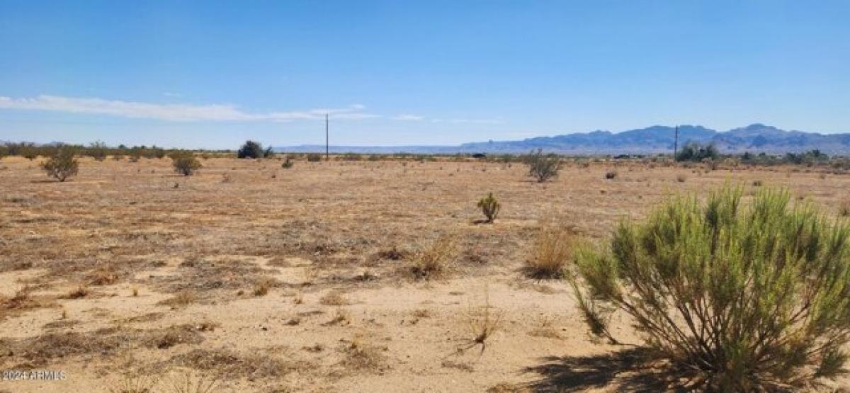 Picture of Residential Land For Sale in Golden Valley, Arizona, United States