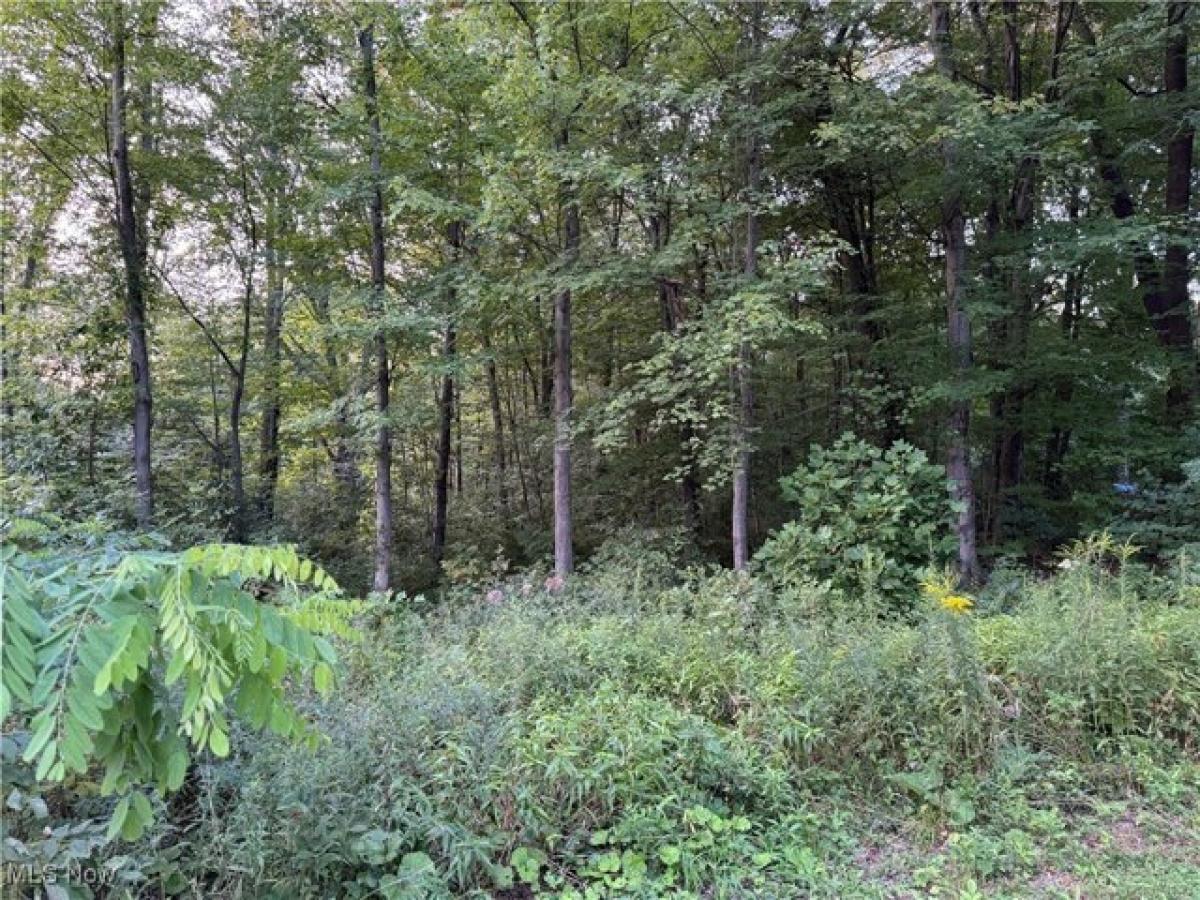 Picture of Residential Land For Sale in Ravenna, Ohio, United States