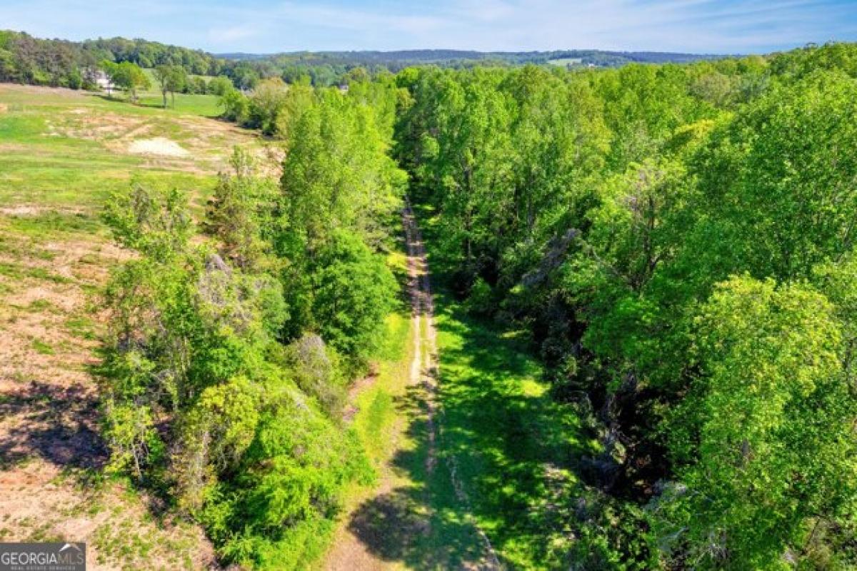 Picture of Residential Land For Sale in Toccoa, Georgia, United States