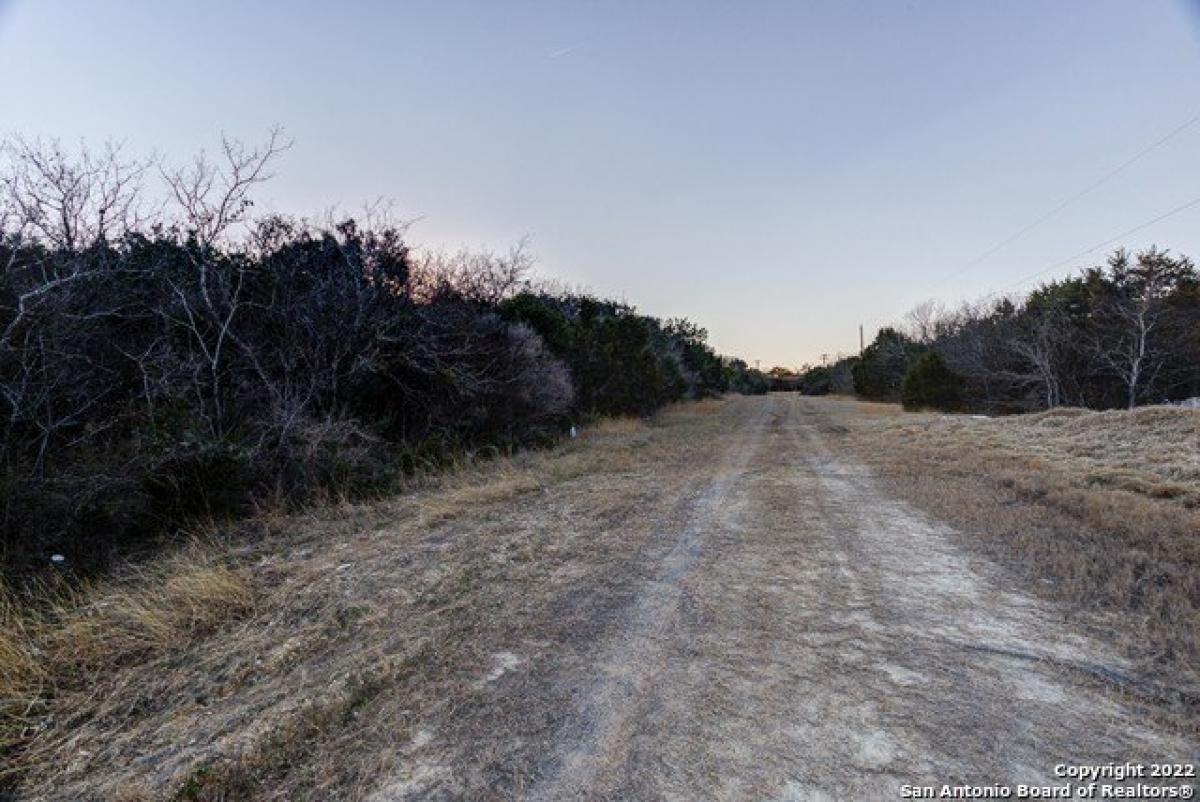 Picture of Residential Land For Sale in Live Oak, Texas, United States