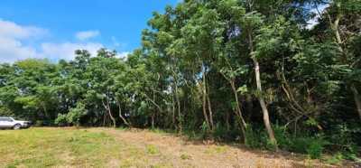 Residential Land For Sale in Slocomb, Alabama