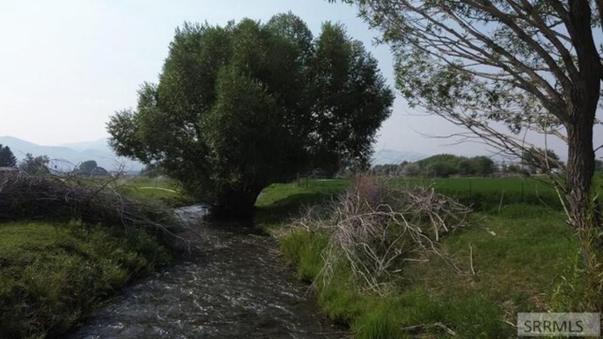 Picture of Residential Land For Sale in Challis, Idaho, United States