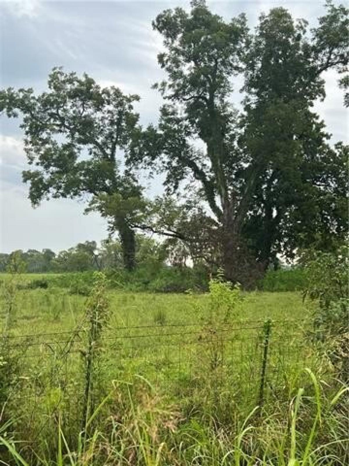 Picture of Residential Land For Sale in Cloutierville, Louisiana, United States