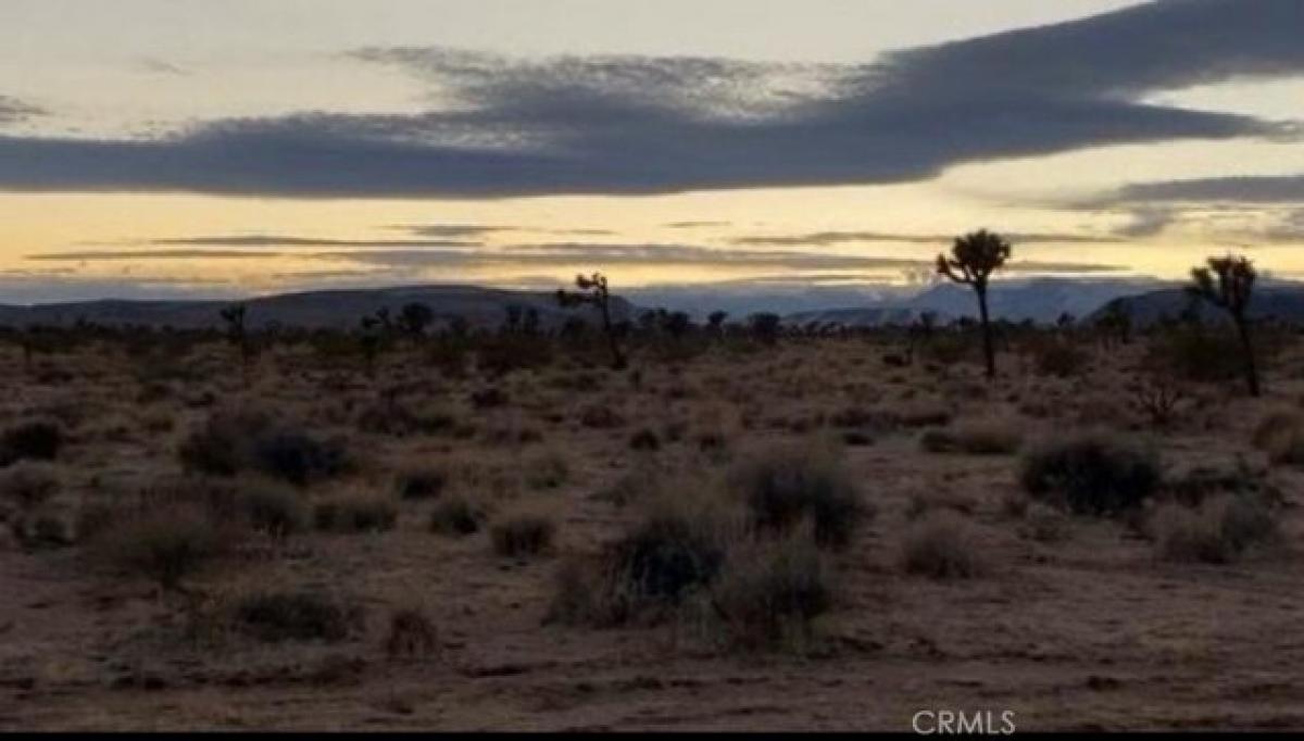 Picture of Residential Land For Sale in Yucca Valley, California, United States