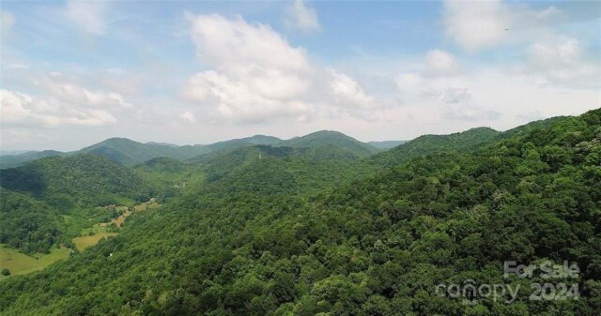 Picture of Residential Land For Sale in Burnsville, North Carolina, United States