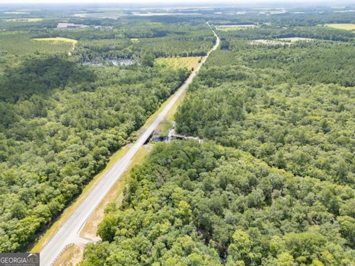 Picture of Residential Land For Sale in Lakeland, Georgia, United States