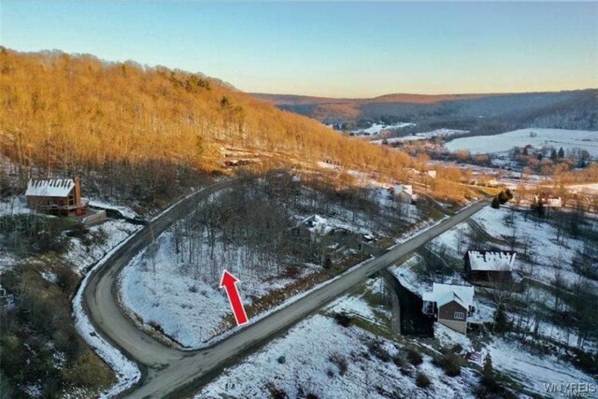 Picture of Residential Land For Sale in Great Valley, New York, United States