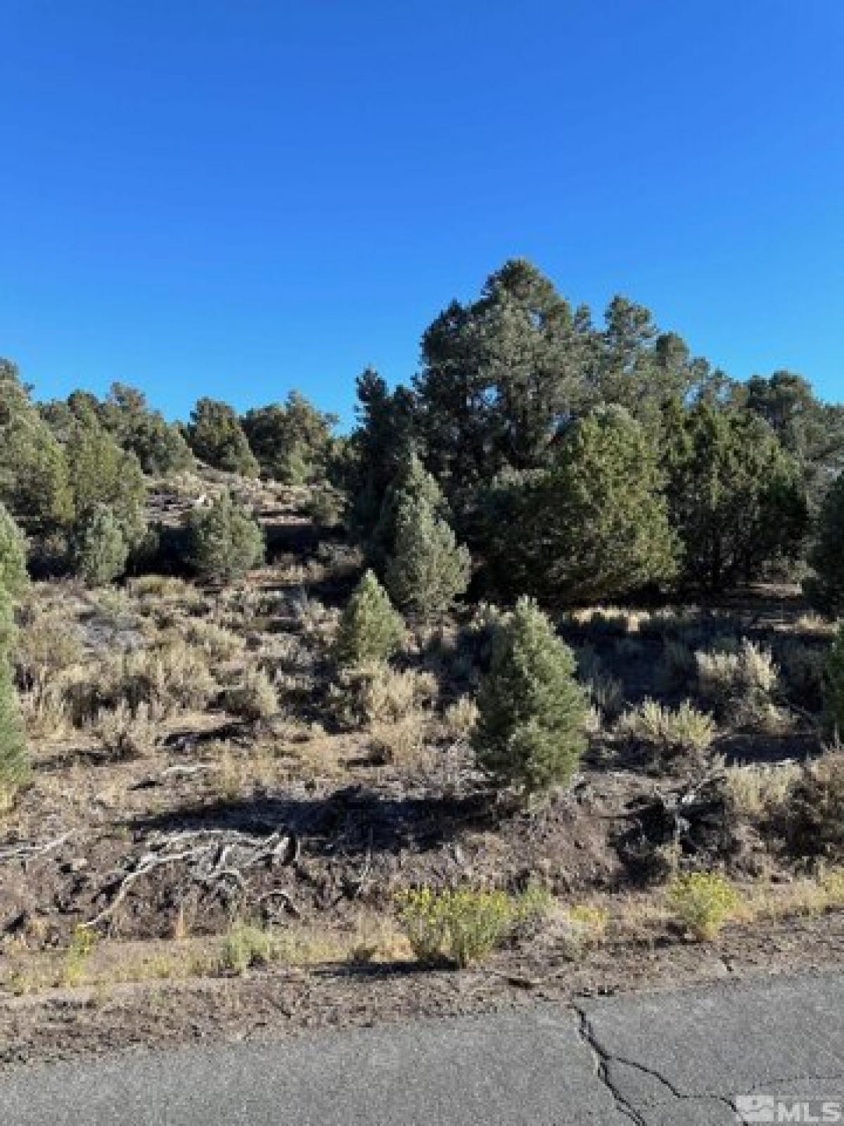 Picture of Residential Land For Sale in Reno, Nevada, United States