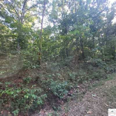 Residential Land For Rent in Edwards, Missouri