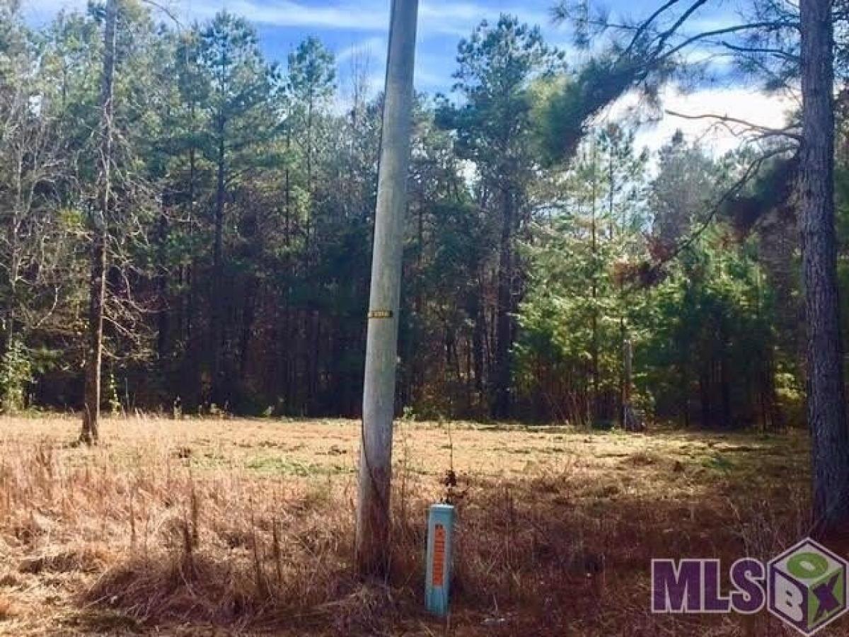 Picture of Residential Land For Sale in Gloster, Mississippi, United States